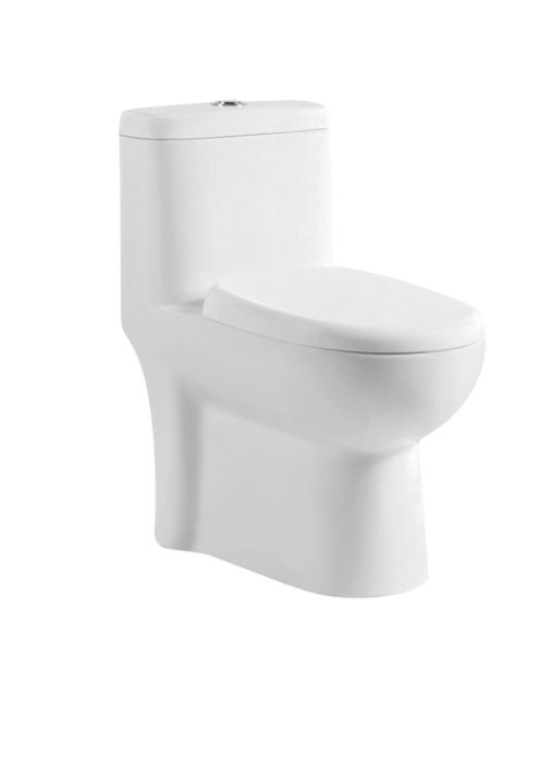 Parryware Duke Single Piece Dual Flush Commode C8916 Plumbing Bazzar